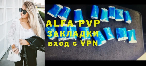 индика Белоозёрский