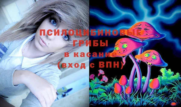 мяу мяу мука Белокуриха