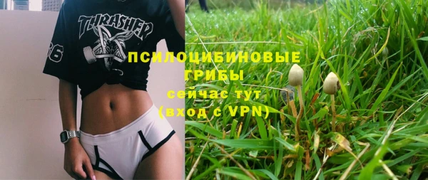 индика Белоозёрский