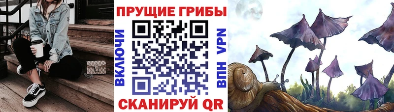Галлюциногенные грибы мицелий  купить  цена  Куртамыш 